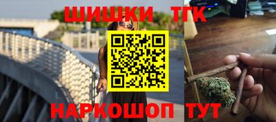 индика Пенза