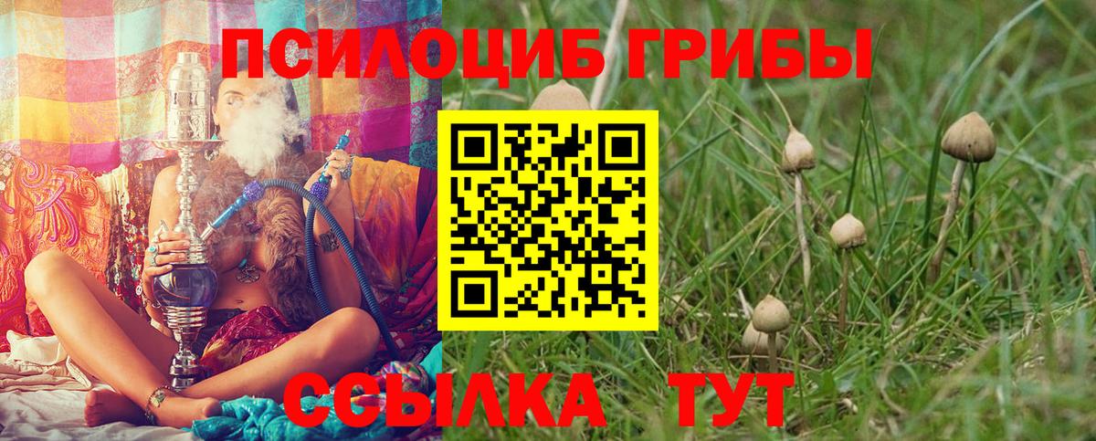 Галлюциногенные грибы Cubensis Ревда
