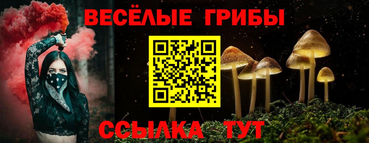 Галлюциногенные грибы MAGIC MUSHROOMS  Вход с VPN  Ревда 